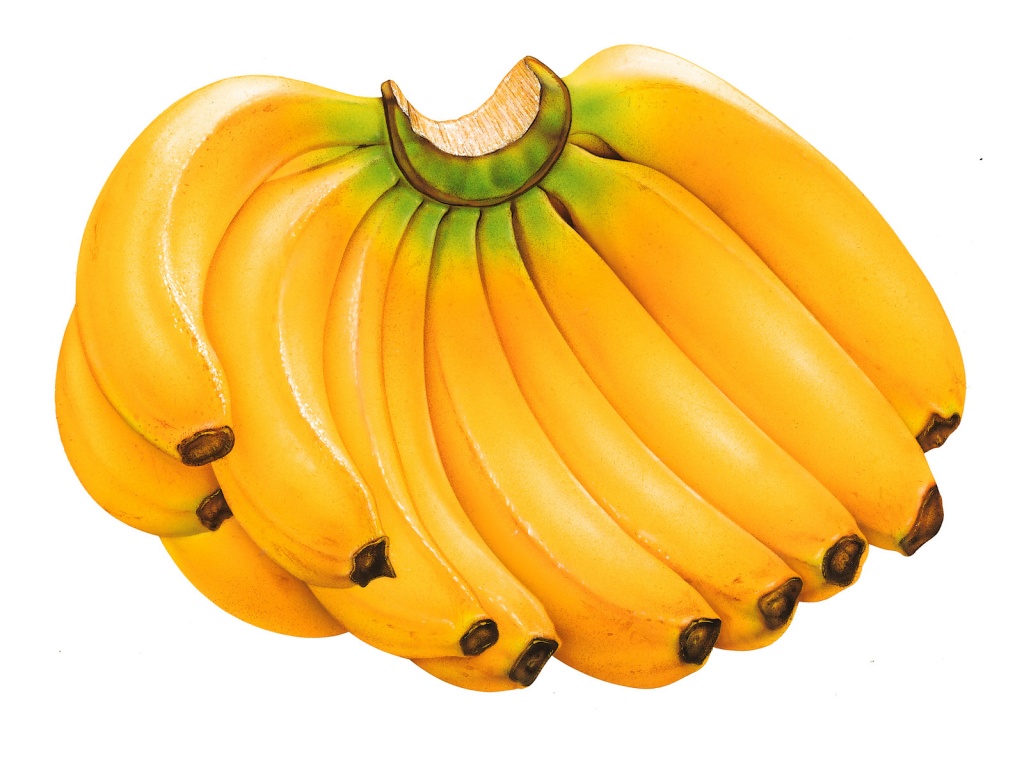 banana ouro